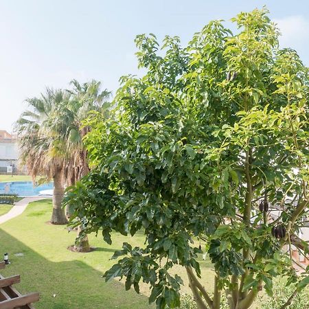 Residencial Marineu Palm Beach II Alcossebre Exteriör bild